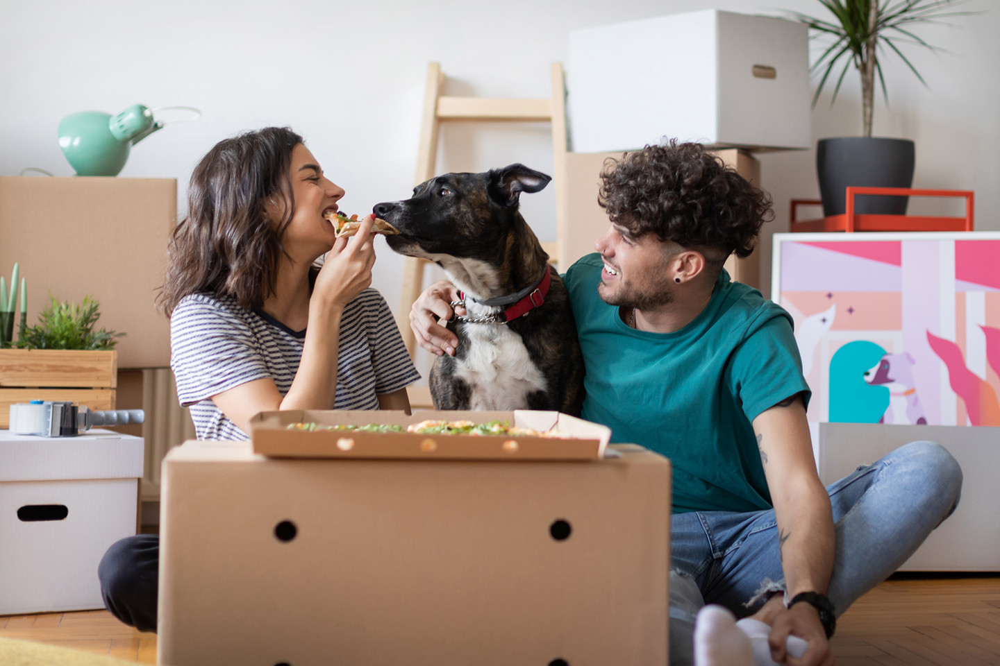 Istock 1313631712